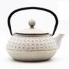 Enamel Coated Cast Iron Tea Kettle