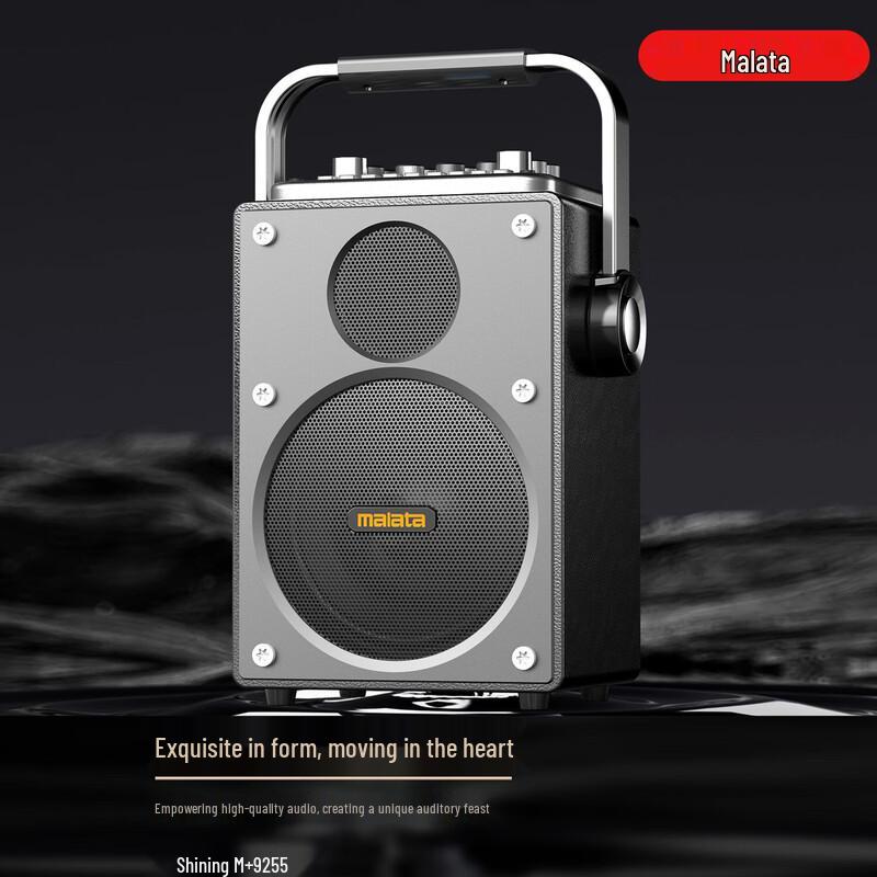Malata M+9255 Outdoor Portable Bluetooth Karaoke Speaker CN plug (adapter included)
