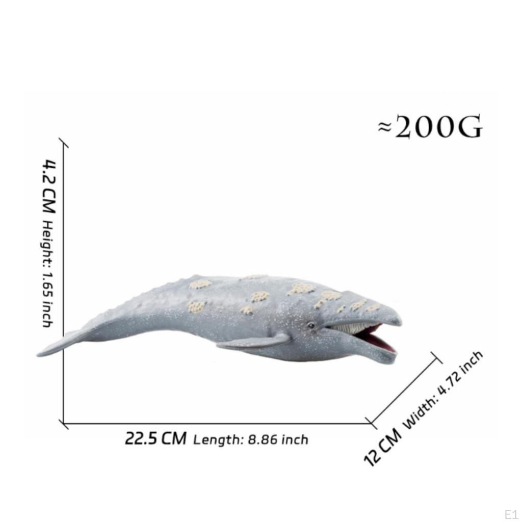 Gray Marine Mammal Figurine Realistic Life Statue for Kids, Collection, Desk
