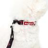 [KINIKINIXLG Zwillinge] AUTHENTISCHES COLLAR-SCHWARZ (Leine)