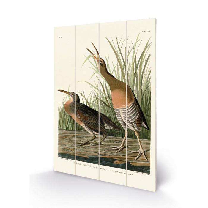 Plaketa slepice ze slané vody John James Audubon