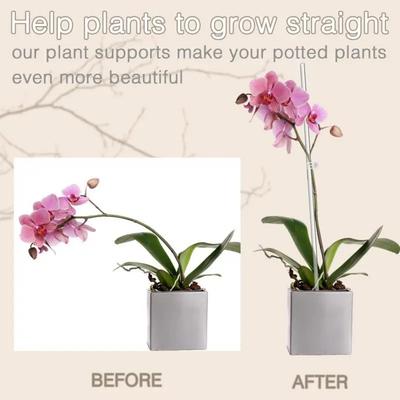 Transparent Plant Supports Plant Support Stakes Indoor Outdoor Use Versatile Plant Support Versatile Garden Accessories