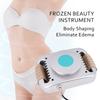 New Cryolipolysis Machine Fat Freezing Belly Fat Burner for Women Fat Dissolver -8°C Body Slimming Products Lose Weight