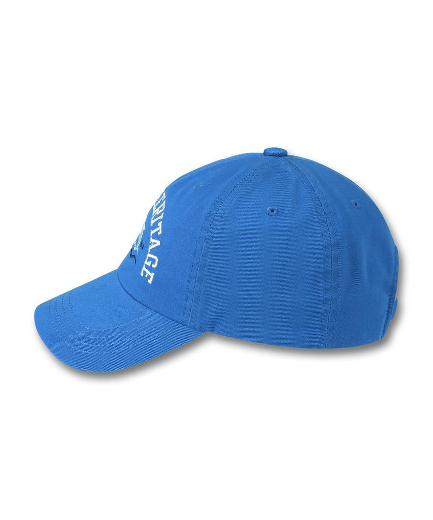 DOLPHIN WAVE APPAREL Ocean Heritage Dolphin Ball Cap Blue