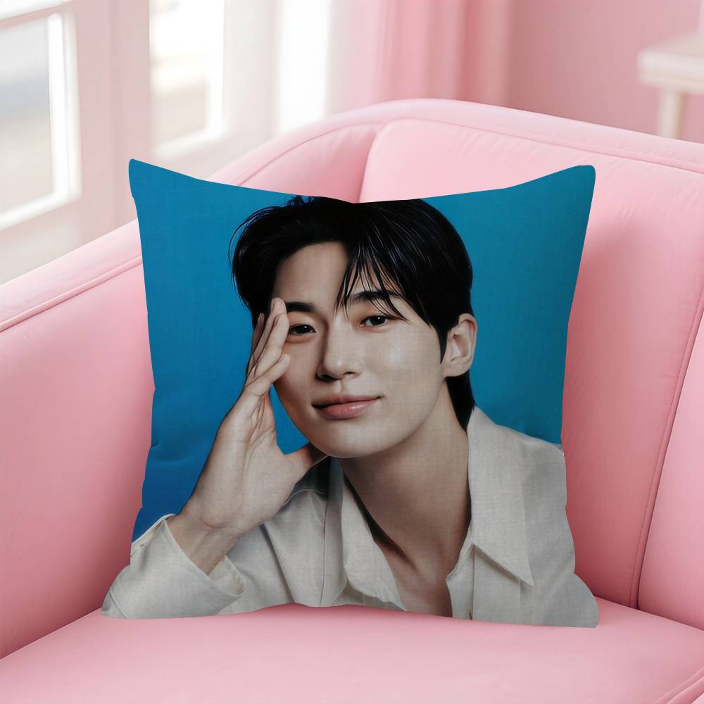 Korean Celebrity Byeon Wooseok  Pillow Gift Home Office Decoration Bedroom Sofa Car Cushion Cover case 45x45
