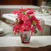 Poinsettia Artificial Flowers for Christmas Window Decorations - 3 Bouquets, 6 Colors - Perfect for Parties & Arrangements
