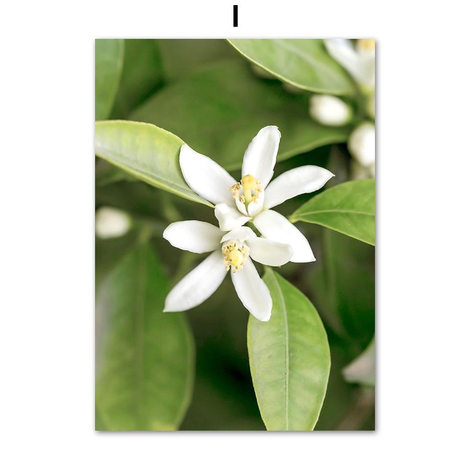 Green Leaf Boat Flower Forest Mountain Waterfall Posters And Prints Canvas Painting Wall Art Pictures For Living Room Decor