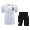 Brazil Training Jersey: 2526 Pre-Match Short Sleeve Football Uniform Set for Adults.