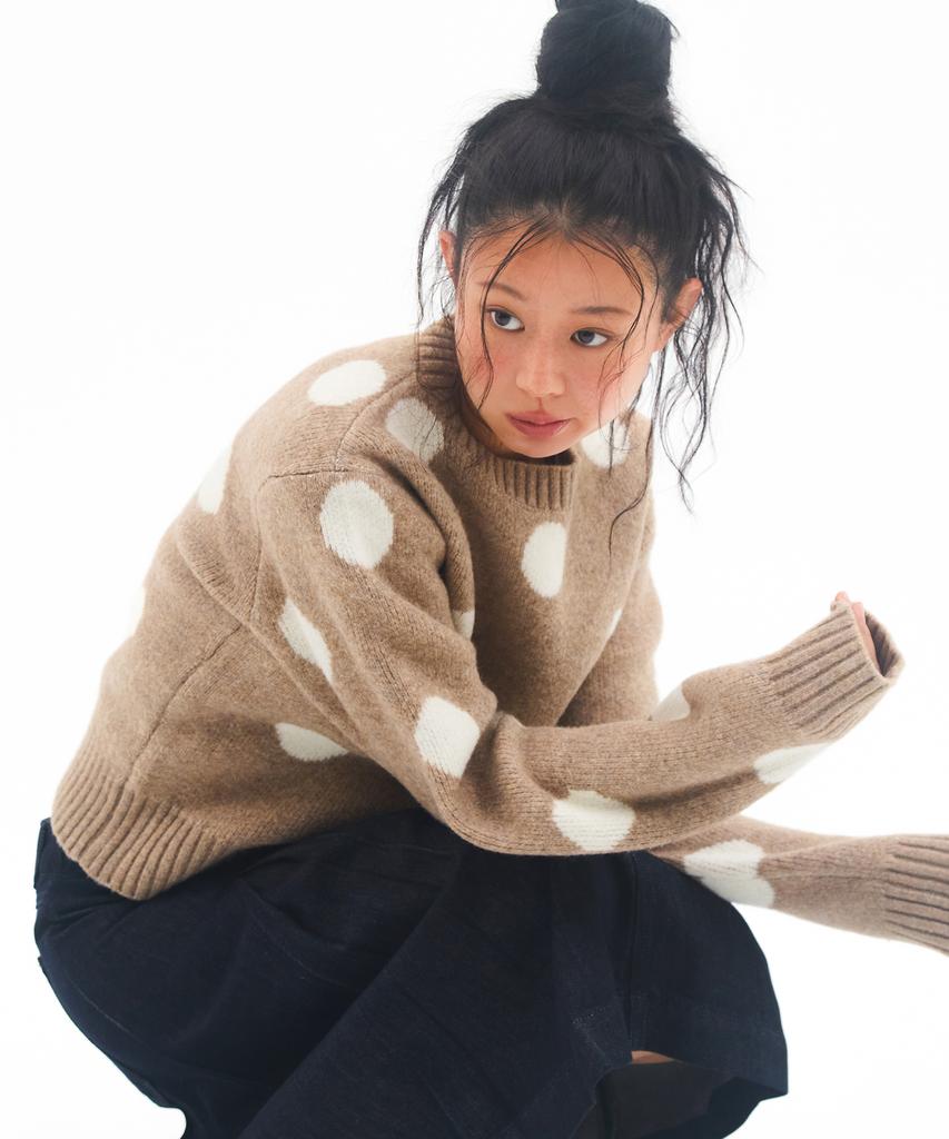 AMES-WORLDWIDE Dot Pullover Knit Beige