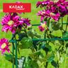 KADAX Floral Support Plant Flower Clip 80 Cm