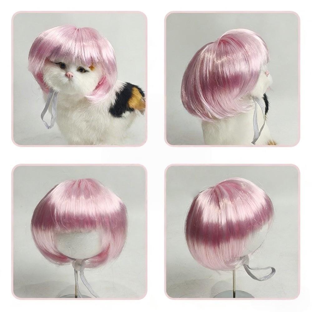 Verstellbare Passform Haustier Bob Perücke Bequem zu tragen Katze Falsches Haar Kätzchen Gewelltes Haar Party Spiel Kostüm