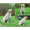 Dog Protector Front Chest Webbing Adjust Buckle Fixed Ring Comfortable Breathable After Injury Tool