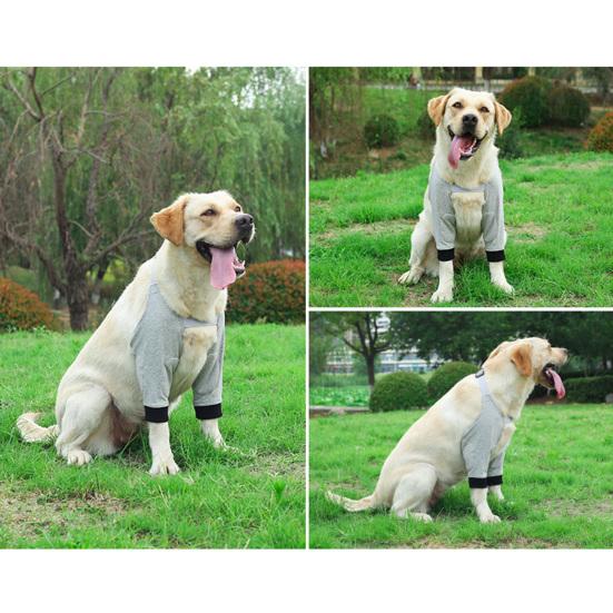 Dog Protector Front Chest Webbing Adjust Buckle Fixed Ring Comfortable Breathable After Injury Tool