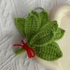 Woven Keychain Handmade Pomelo Leaf Design Lucky Charm Keychain Hand-Crocheting Decorative