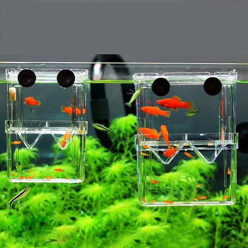 Double-Deck Clear Fish Breeding Isolation Box Aquarium Fish Tank Hatching House