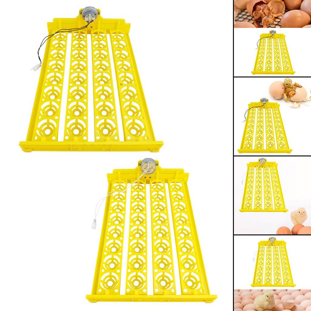 Plastic Egg Incubator Automatic Egg Turner 32 Eggs Hatching Poultry Temperature Control for Chicken Birds Goose Duck Quail