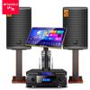 SANSUI M13 Professional Home Karaoke System CN Plug (adapter Included)