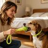 K1AE Pet Teething Toy Teething Ball Molar Pet Chew Dental Cleaning Toy Interactive Reward Molar Toy for Puppies