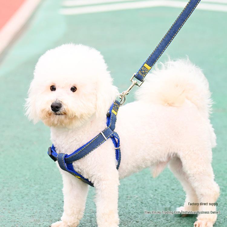 Multi-Size Dog Leash & Collar Set for Walking - Suitable for Small To Large Breeds