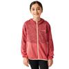 Regatta Childrens/Kids Dissolver IX Marl Full Zip Fleece Jacket