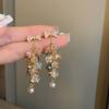 High-End Silver Needle Crystal Tassel Earrings: Diamond Inlaid Floral Retro Ethnic Style