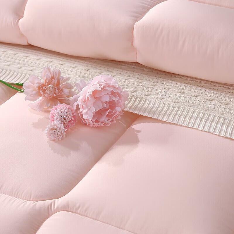 

FU AN NA Seven-Hole Anti-bacterial Fiber Quilt