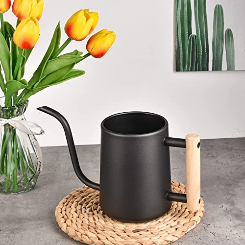IMEEA Watering Can, 1000ml, Stainless Steel with Wooden Handle, Stylish Gardening Tool, Black