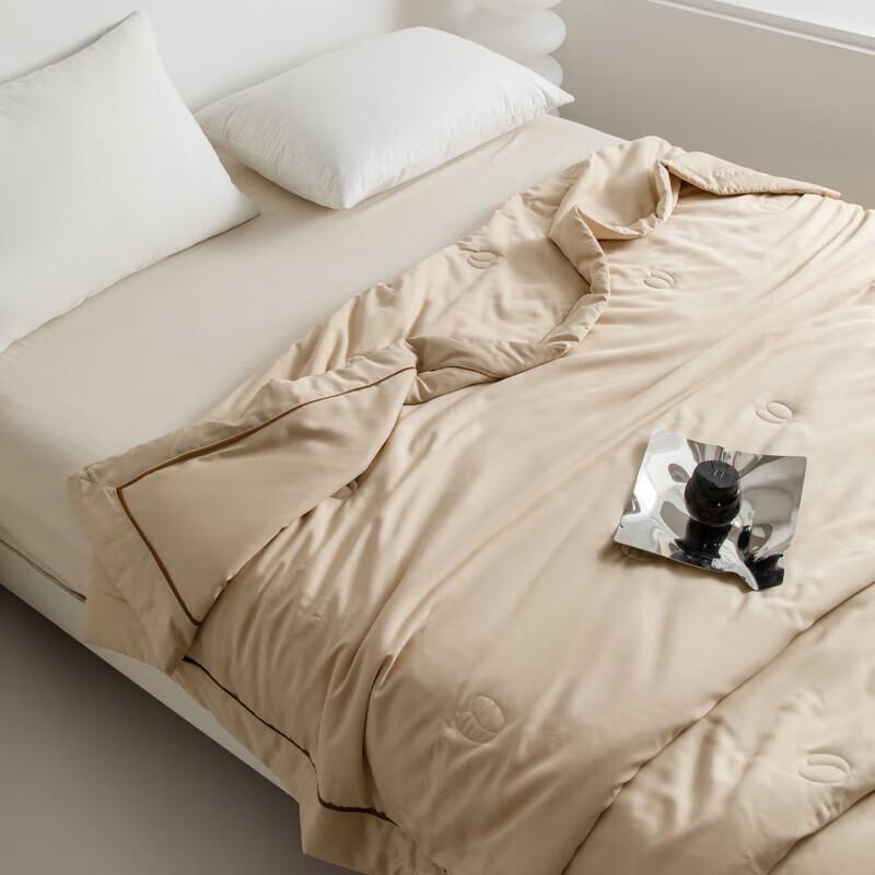 Muji Silkworm Protein Hyaluronic Acid Quilt
