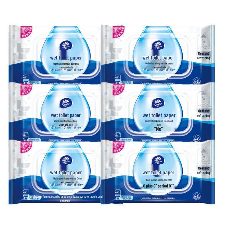 Vinda Flushable Wet Toilet Wipes - 6 Packs (40 Wipes/Pack)