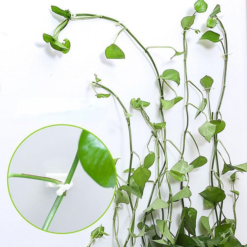 50 Stück Kletterpflanzen Wandclip Rattan Schnalle Haken Rattan Streifen Clip Selbstklebender Befestiger Pflanzenhalter Unsichtbare Halterung