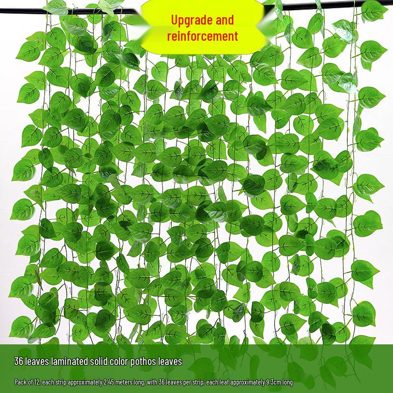 Artificial Rattan Morning Glory and Green Ivy Leaf Vine for Decoration