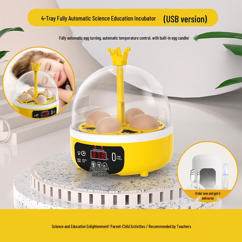 Smart Fully Automatic Small Egg Incubator for Home & Kids
