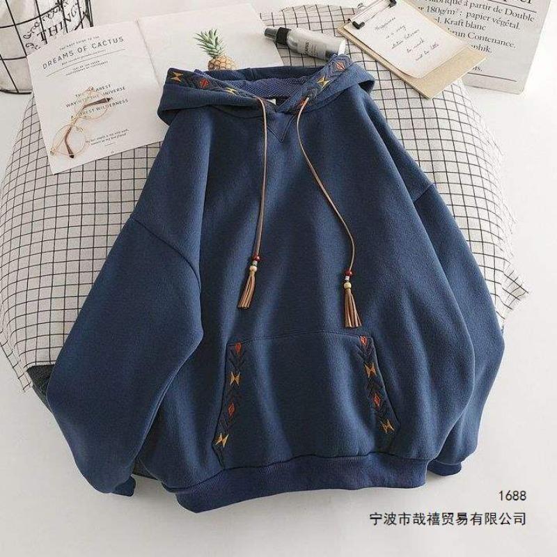 Fleece Embroidered Sweater Women's Autumn and Winter Niche Design Sense Hooded Jacket E Loose Thickened Top