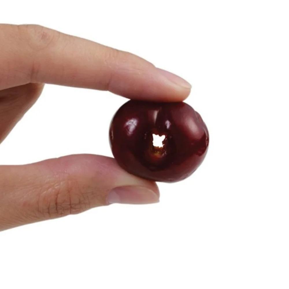 Kirschentkerner Weißdorn Rote Dattel Kernentferner Kernseparator Werkzeug Fruchtkernentferner Küchenwerkzeuge Küchenhelfer Zubehör