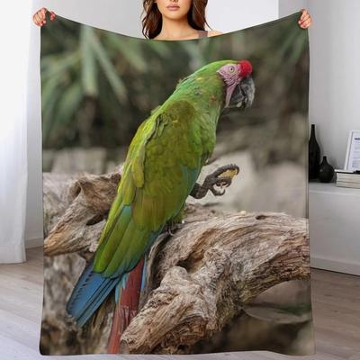 Roupa de cama – Mantas