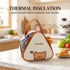 Picnic Thermal Lunch Bag With Handle Cute Cartoon Portable Insulated Bento Box Bag For Students Kids Mini Triangle Cooler Bag