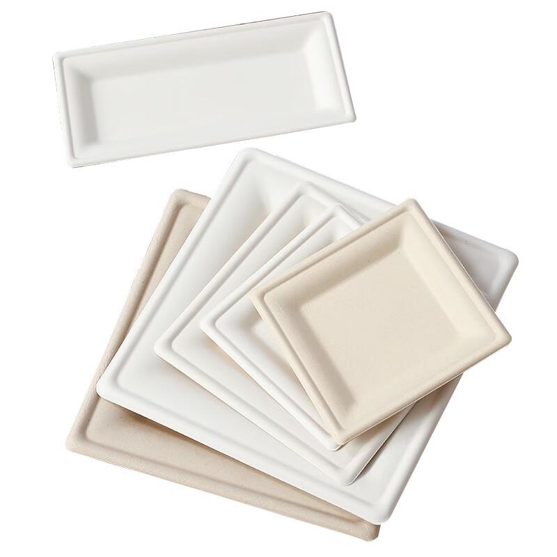 Biodegradable Square Sugarcane Pulp Plates
