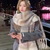 Winter Imitation Cashmere Scarf For Women Maillard High-End Korean Style Warm Retro  Versatile Thick Shawl