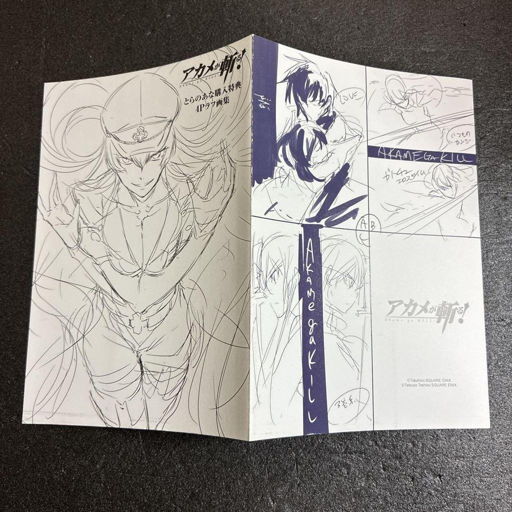[USED] Akame ga Kill! Toranoana Purchase Bonus 4-page Rough Art Book Rare Esdeath