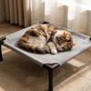 Piccola Cama Rialzata per Animali Domestici per Gatti e Cani Piccoli, Letto Pieghevole Portatile per Uso Interno ed Esterno