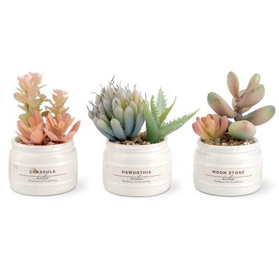 Deko & Wohnaccessoires – Künstliche Blumen & Kränze