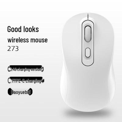 OLOEY Rechargeable Dual-Mode Wireless Mouse