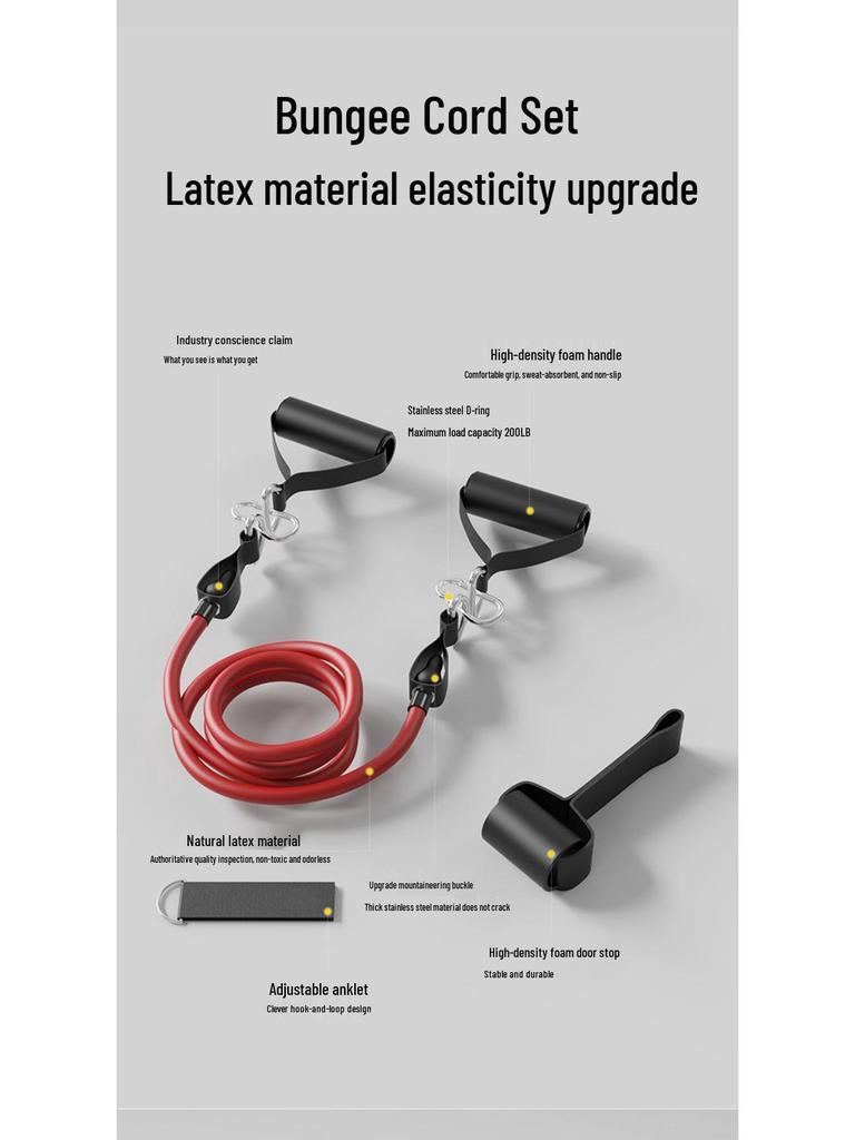 TPE 11-Piece Resistance Bands Set with Markings, Carabiner, Pulley Hook, Multifunctional for Home Fitness