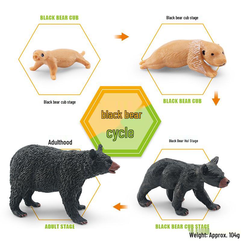 Animal Growth Cycle Models: Chicken, Duck, Goose, Butterfly, Turtle, Frog Montessori Teaching Figurines