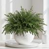 16 Pcs 18' Artificial Norfolk Pine Stems, Faux Christmas Greenery for Vases, Holiday Home Decor