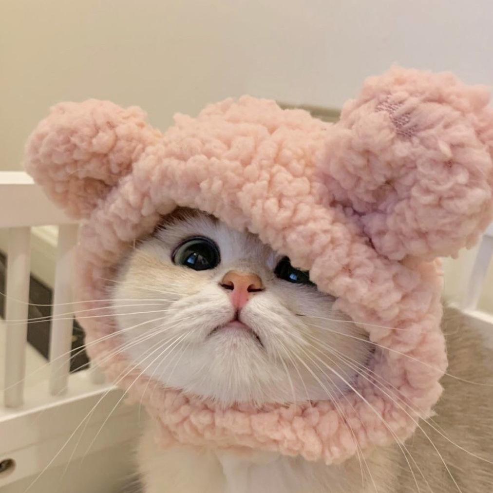 Kitten Hat Pet Plush Head Cover British Shorthair Cute Cat Small Dog Photo Headwear Costume Accessory