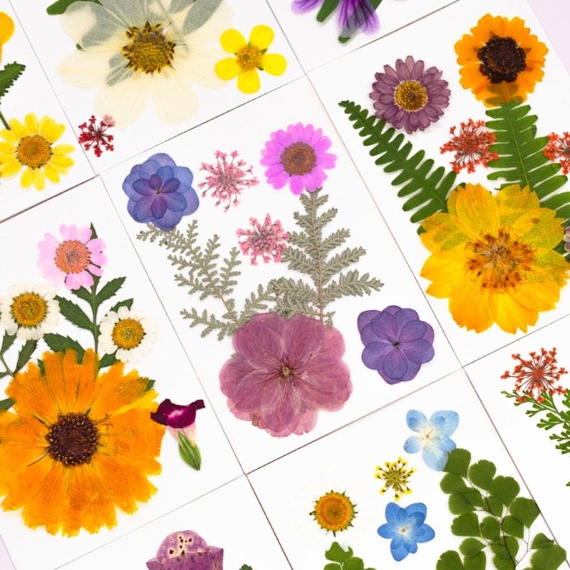 32Pcs Realistic Flower Pressed Florals Kits 4 Pack Natural Florals Craft Supplies For Resin Decorations And Gifts