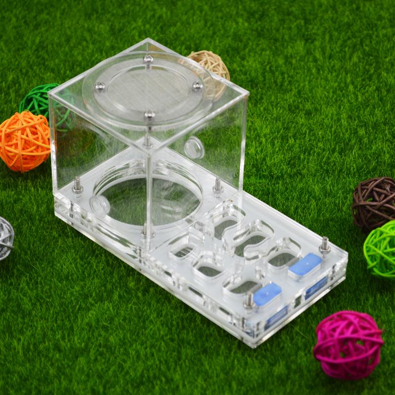 14*8*7cm moisture with feeding area ant nest,ant farm acryl,insect ant nests villa advanced mania for house ants