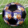 Bluey Theme Size 5 Soccer Ball, Suitable for Both Indoor and Outdoor Matches, a Gift Suitable for Everyone.
