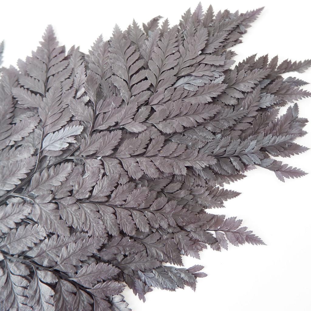 Eternal Alpine Fern Golden Alpine Fern Leaf Immortal Flower Dried Flower Bouquet Wedding Decoration With Grass